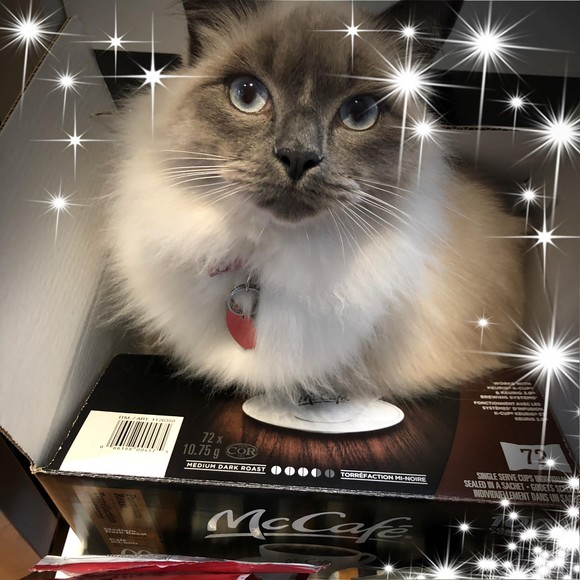 Meet your Posher, Nancy - Picture 1 of 1